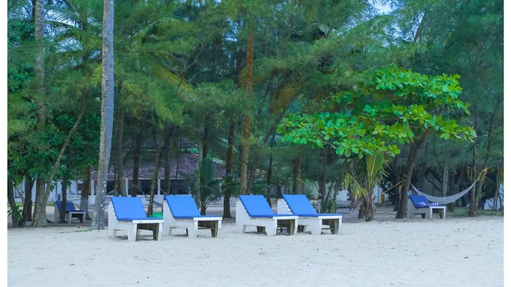 Seclude Kerala Marari Sands property and wedding venue photo 2